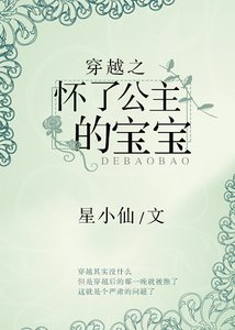 穿越之懷了公主的寶寶