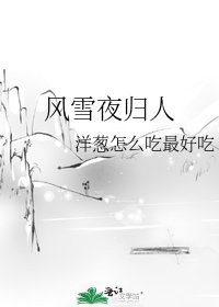 风雪夜归人